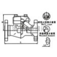 法蘭與對(duì)焊止回閥
